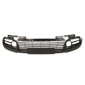 Pára-choques frontal 620842933R | Renault
