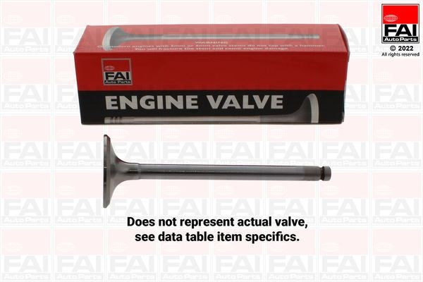 Válvula de drenagem 59116026 | Ford