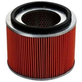 Filtro de ar 16546-VB300 | Nissan