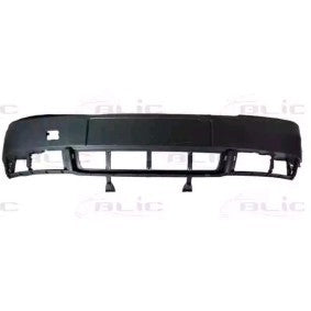Pára-choques frontal 8055731241491 | Audi