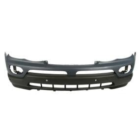 Pára-choques frontal 51117129295 | BMW