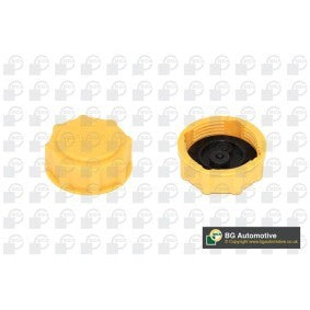 Tampão do radiador 1647750 | Ford