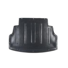 Resguardo do motor 51717012723 | BMW