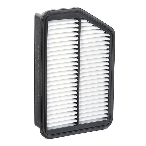 Filtro de ar 281102S100 | Hyundai
