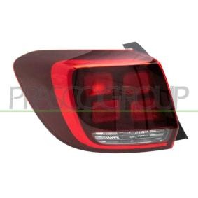 Farolim traseiro esquerdo 265554938R | Dacia