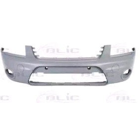 Pára-choques frontal 5076101 | Ford